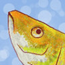 Fish788 avatar
