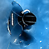 vor avatar