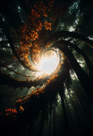 A photorealistic spiral staircase formed by twisting tree branches with glowing orange autumn leaves, ascending through a dense forest canopy with cinematic sunset lighting.