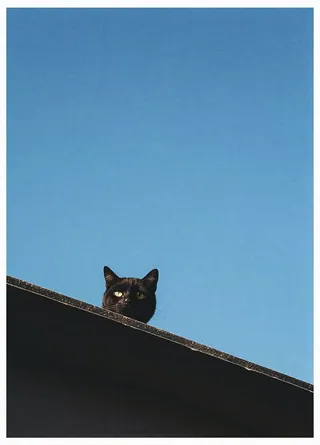 Black cat with yellow eyes peeks over a dark gray rooftop against a clear vibrant blue sky, showcasing minimalist and modern composition.