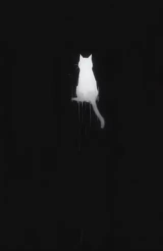 A glowing white silhouette of a confused cat sitting in an obsidian dark void space with fading luminosity and ethereal stillness.
