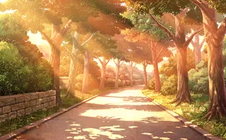A visual novel style background of a paved path during golden hour with warm sunset lighting filtering through tall trees, casting dappled shadows on the asphalt, with lush green bushes and a stone wall on the left.