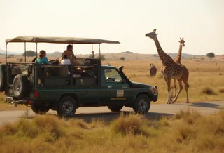 Safari truck carrying tourists driving on a road through the savannah with giraffes standing nearby and open grassy landscape in background