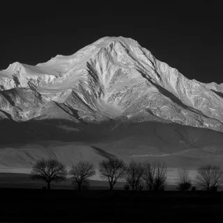 Black and white landscape photograph featuring a snow-capped mountain range under a moody dark sky, with barren trees in the foreground, inspired by Ansel Adams style.