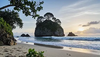 Serene tropical beach at sunset featuring a rocky island covered with lush greenery and canopy trees, gentle ocean waves, and a sandy shore with scattered plants.
