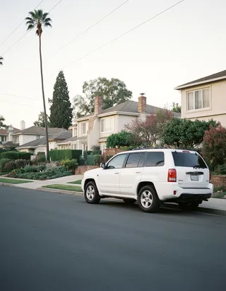 Daytime view of a Los Angeles suburban neighborhood street with a white SUV parked alongside houses and tall palm trees.