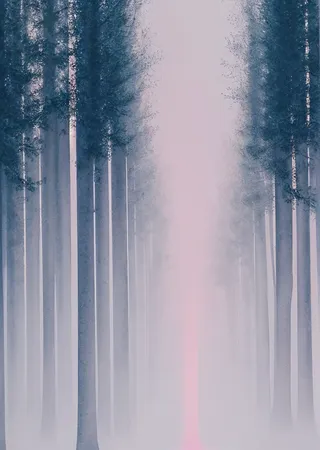 Misty abstract forest scene with tall slender trees, soft blue and pink hues creating a peaceful and feminine atmosphere.