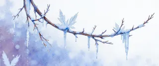 Delicate watercolor depiction of crystallized hoarfrost formations clinging to bare winter branches, featuring soft blue-white luminescence and a lavender-cerulean background.