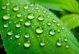 Macro close-up of raindrops on a vibrant green leaf illuminated by lime green LED light, highlighting the detailed texture and veins of the leaf.