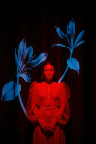A woman in a red sheer dress illuminated by red light stands before two large blue flowers against a dark background, creating a dramatic contrast.