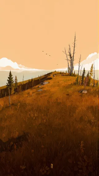 A peaceful Scandinavian hilltop covered with tall, wispy grass and scattered trees under a soft orange sky, with birds flying against gradient clouds.