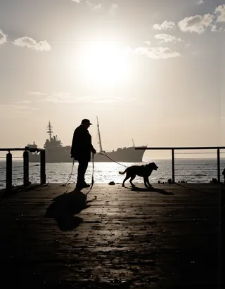 Silhouette of a man walking a dog on a pier with a large ship visible in the background under a bright sun and partly cloudy sky.