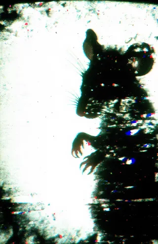 Abstract photograph of a rat silhouette with grainy texture and glitchy distortions, featuring dark shapes against a bright background with colorful speckles and vintage analog aesthetic.