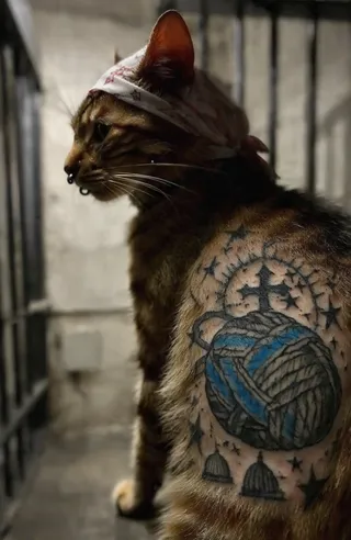A cat in a dimly lit prison-like room facing left, featuring a detailed tattoo of a black and blue yarn ball with a halo and cross on its right side, wearing a bandana and nose ring piercing.