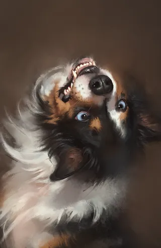 Digital painting of a Border Collie with dark brown and black fur, white face, and piercing blue eyes grinning with head tilted back against a dark brown background.