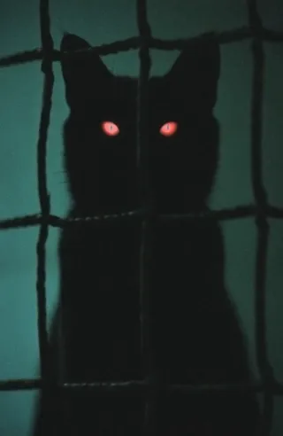 Silhouetted black cat with glowing red eyes behind a rough metallic wire fence against a dark moody background with dim lighting.