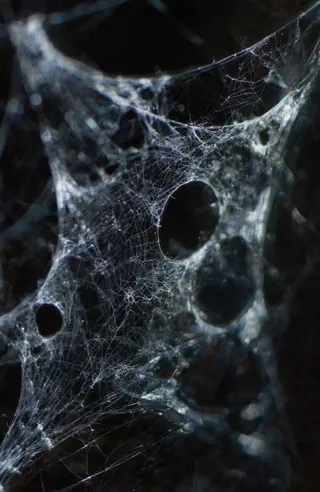 Close-up view of a translucent spider web with intricate lace-like pattern of fine white threads against a dark blurred background.