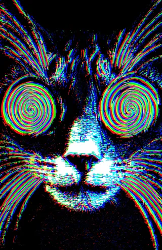 Close-up of a cat's face featuring a surreal optical illusion with brightly colored neon spirals in its large eyes, glitch textures, and vibrant whiskers on a black background.