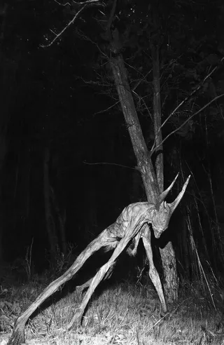 Black and white photo of a grotesque humanoid creature with elongated limbs and large curved horns crouching in a dark, eerie forest at night with high contrast lighting.