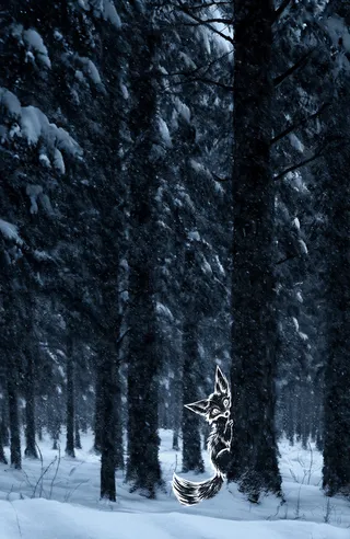 Moody snowy forest scene with tall evergreen trees and a white outlined fox partially hidden behind a tree with large expressive eyes and bushy tail.