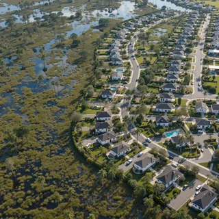 Aerial view of a modern Floridian suburban neighborhood with palm-lined streets, backyard pools, and a natural swampland adjacent featuring cypress trees and wetlands.