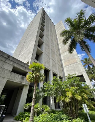 Massive brutalist concrete building surrounded by lush tropical palm trees and greenery under a partly cloudy sky.