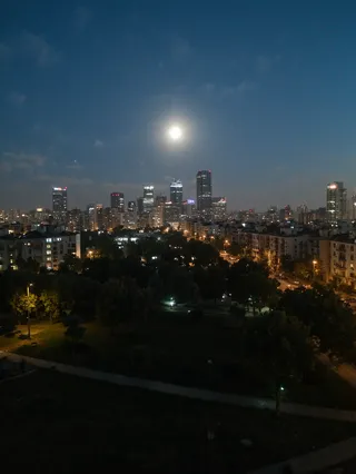 City skyline at night featuring modern skyscrapers and apartments with lights illuminated, moon shining above, and a park with trees in the foreground.
