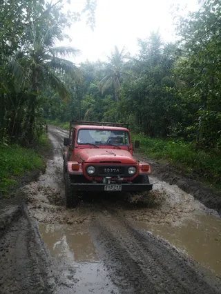 Red Toyota pickup truck driving through a muddy jungle road with water splashing, surrounded by dense jungle vegetation and palm trees under early morning light.